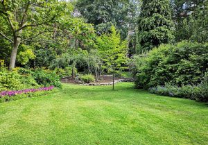Optimiser l'expérience du jardin à Vannes-le-Chatel